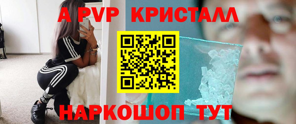 A PVP СК КРИС Елизово