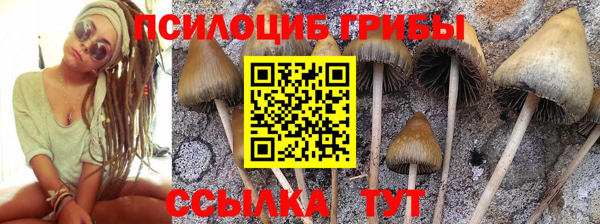 Галлюциногенные грибы прущие грибы Елизово