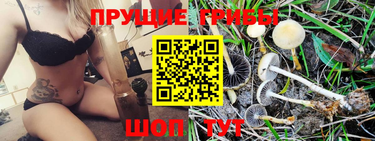 Елизово  Псилоцибиновые грибы Psilocybine cubensis  Псилоцибиновые грибы Psilocybine cubensis  Вход с VPN 